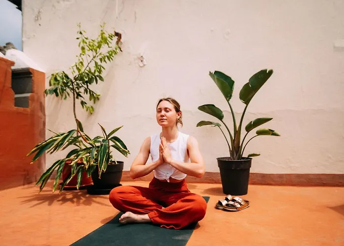 Dona Rose Old Town 旅馆 *